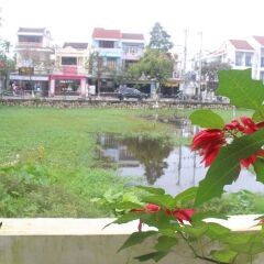 Отель Hoi An Green View Homestay Хойан фото 4