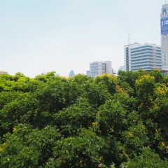 Отель Royal View Resort Rangnam Бангкок фото 6