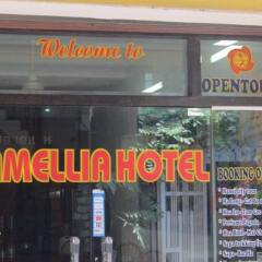Camellia Hotel 6 Ханой питание фото 2
