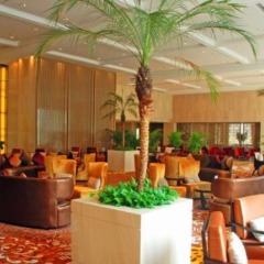 Отель AoYuan Golf Hotel Китай, Гуанчжоу - отзывы, цены и фото номеров - забронировать отель AoYuan Golf Hotel онлайн интерьер отеля фото 3