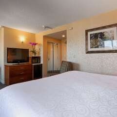 Отель Best Western Plus Chateau Granville Hotel & Suites Канада, Ванкувер - отзывы, цены и фото номеров - забронировать отель Best Western Plus Chateau Granville Hotel & Suites онлайн комната для гостей фото 5