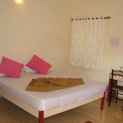 Отель Mandrem Retreat Индия, Северный Гоа - отзывы, цены и фото номеров - забронировать отель Mandrem Retreat онлайн комната для гостей