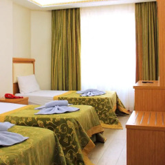 Hotel Buyuk Paris с домашними животными