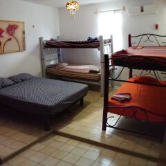 Отель Maya Cha'an Guesthouse Мексика, Канкун - отзывы, цены и фото номеров - забронировать отель Maya Cha'an Guesthouse онлайн детские мероприятия фото 5