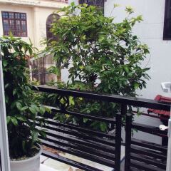 Отель Ngoc Sinh Homestay балкон
