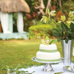 Отель Couples Negril All Inclusive фото 9