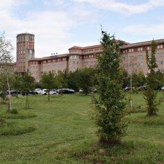 Отель Seminario Bilbao Испания, Дерио - отзывы, цены и фото номеров - забронировать отель Seminario Bilbao онлайн фото 5