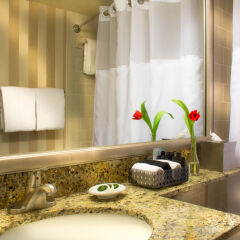 Отель Georgetown Suites Harbour США, Вашингтон - отзывы, цены и фото номеров - забронировать отель Georgetown Suites Harbour онлайн ванная