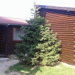 Отель Guest House Raffe Банско фото 13