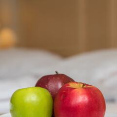 Отель Maison Hotel Болгария, София - 2 отзыва об отеле, цены и фото номеров - забронировать отель Maison Hotel онлайн фото 4