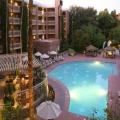 Отель Radisson Suites Tucson с домашними животными