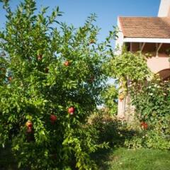 Отель Polychka Winehouse Хуст фото 3