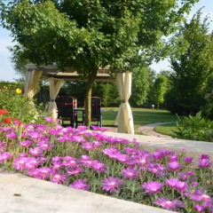Отель B&B Melograno MC Италия, Рубано - отзывы, цены и фото номеров - забронировать отель B&B Melograno MC онлайн