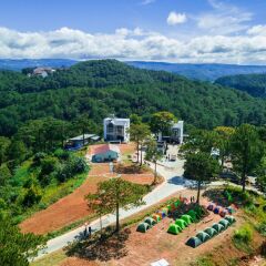 Отель The Kupid Hill Homestay Далат