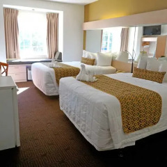 Отель The Floridian Hotel and Suites США, Орландо - отзывы, цены и фото номеров - забронировать отель The Floridian Hotel and Suites онлайн комната для гостей фото 2