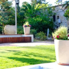 Ramat Rachel Resort Израиль, Иерусалим - 1 отзыв об отеле, цены и фото номеров - забронировать отель Ramat Rachel Resort онлайн фото 5