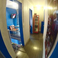 Roomies Hostel Мехико интерьер отеля