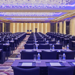 Отель Radisson Blu Plaza Delhi Airport фото 2