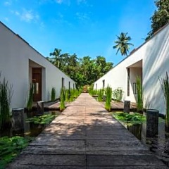 Отель Alila Diwa Гоа фото 9