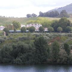 The Wine House Hotel - Quinta Da Pacheca Ламего фото 2