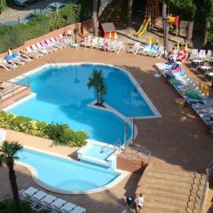 Hotel President с домашними животными