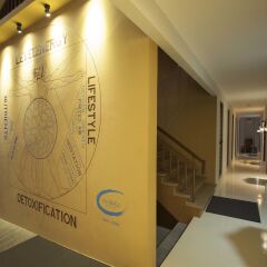 Санаторий The LifeCo Phuket Well-Being Detox Center интерьер отеля фото 2