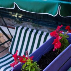 Отель Rome City Hostel Италия, Рим - отзывы, цены и фото номеров - забронировать отель Rome City Hostel онлайн бассейн