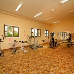 Samshitovaya Roscha Hotel фитнесс-зал