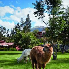 Belmond Hotel Rio Sagrado с домашними животными