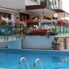 Hotel Zora бассейн фото 2