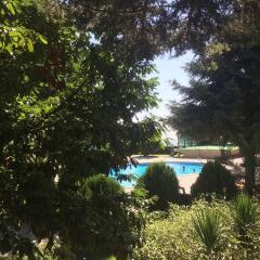 Hotel Denitza фото 3