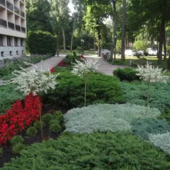 Отель Cottage Sanatorium Belorusija Латвия, Юрмала - отзывы, цены и фото номеров - забронировать отель Cottage Sanatorium Belorusija онлайн фото 12