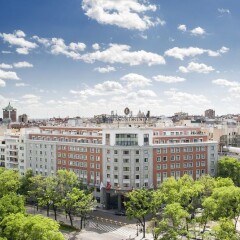 Отель Intercontinental Madrid Мадрид