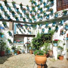 Отель Alojamiento DePatios фото 2