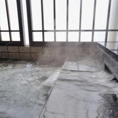 Отель Dormy Inn EXPRESS Meguro Aobadai Hot Spring бассейн фото 3