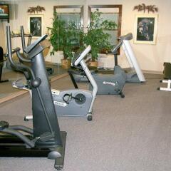 Отель Hampton Inn & Suites Springdale фитнесс-зал фото 3