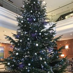 Sheraton Zagreb Hotel фото 18
