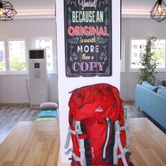 ART Hostel & Apartments Тирана с домашними животными