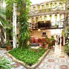 Отель Posada Mariposa Boutique Плая-дель-Кармен фото 8