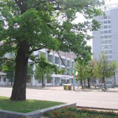 Vitebsk Hotel фото 3