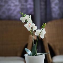Eden Hotel Израиль, Хайфа - отзывы, цены и фото номеров - забронировать отель Eden Hotel онлайн интерьер отеля фото 3