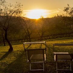 Отель Agriturismo Il Segreto di Pietrafitta Италия, Сан-Джиминьяно - отзывы, цены и фото номеров - забронировать отель Agriturismo Il Segreto di Pietrafitta онлайн фото 3