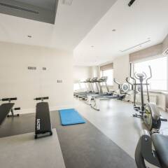 Отель Torre de Madrid Executive - MADFlats Collection фитнесс-зал