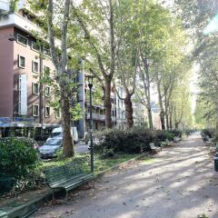 Hotel Domenichino фото 10