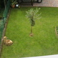 Отель B&B Giardino di Ro Италия, Пьянига - отзывы, цены и фото номеров - забронировать отель B&B Giardino di Ro онлайн фото 4