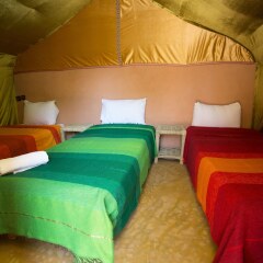 Отель Ecolodge - La Palmeraie Марокко, Уарзазат - отзывы, цены и фото номеров - забронировать отель Ecolodge - La Palmeraie онлайн детские мероприятия фото 2