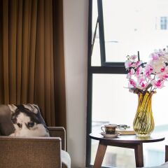 Отель My Linh Hotel Вьетнам, Ханой - отзывы, цены и фото номеров - забронировать отель My Linh Hotel онлайн с домашними животными