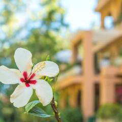 Отель Jardines de Torreblanca - 7 Pax - Torreblanca - 2562-KAW Испания, Фуэнхирола - отзывы, цены и фото номеров - забронировать отель Jardines de Torreblanca - 7 Pax - Torreblanca - 2562-KAW онлайн