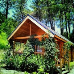 Отель Olympos Village вид на фасад фото 2