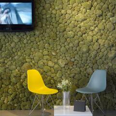 Отель MOODs Boutique Hotel Чехия, Прага - 11 отзывов об отеле, цены и фото номеров - забронировать отель MOODs Boutique Hotel онлайн детские мероприятия фото 2